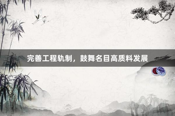 完善工程轨制，鼓舞名目高质料发展